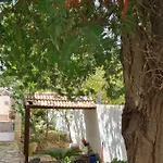 נופש אילת על הגל